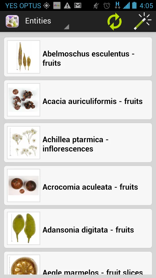 Dried Botanicals Key | Indus Appstore | Screenshot