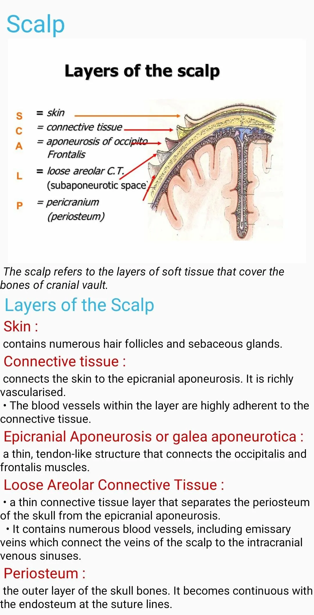 Human Anatomy E Theories | Indus Appstore | Screenshot