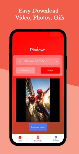 Pinterest Video Downloader | Indus Appstore | Screenshot