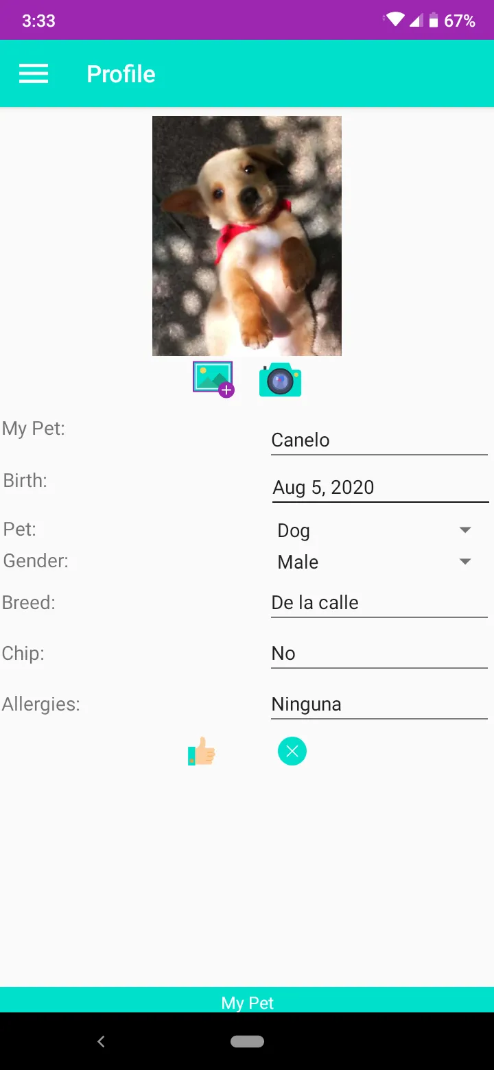 My pet | Indus Appstore | Screenshot