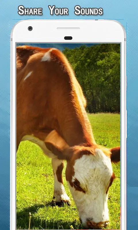 Cow Sounds Ringtone | Indus Appstore | Screenshot