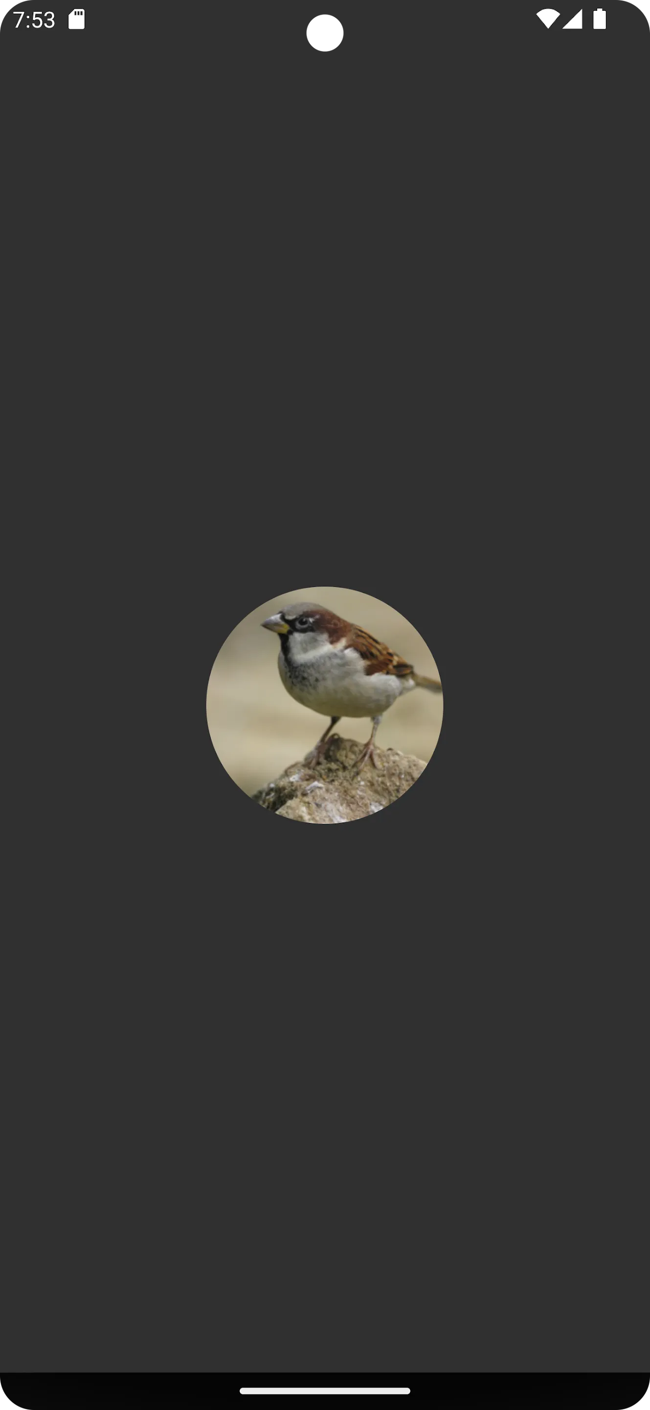 Sparrow Bird Sounds | Indus Appstore | Screenshot