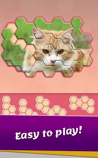 Animals Jigsaw! - Hexa puzzle | Indus Appstore | Screenshot