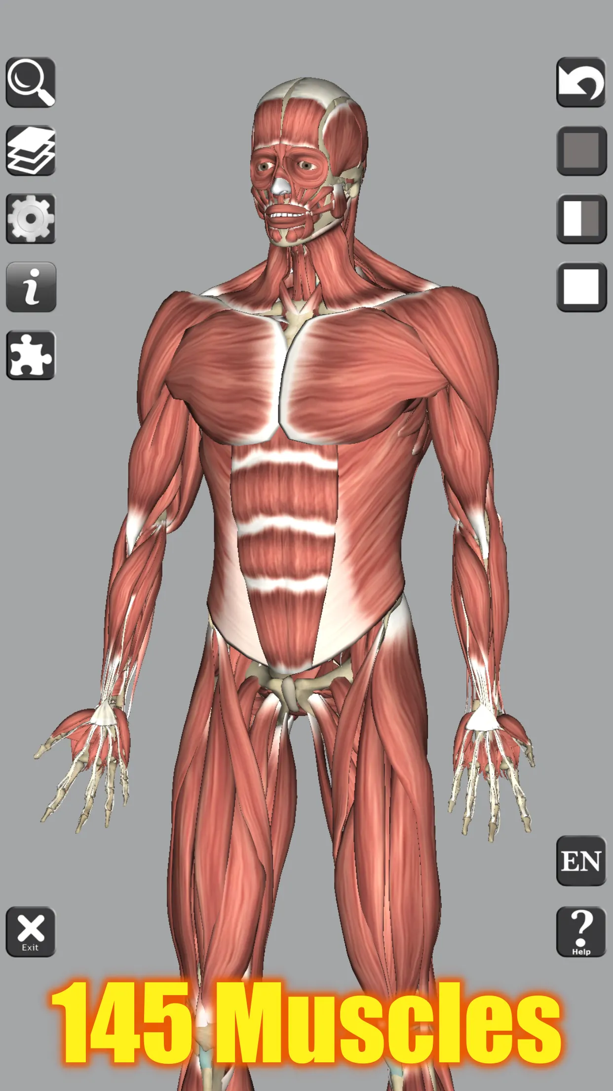 3D Bones and Organs (Anatomy) | Indus Appstore | Screenshot