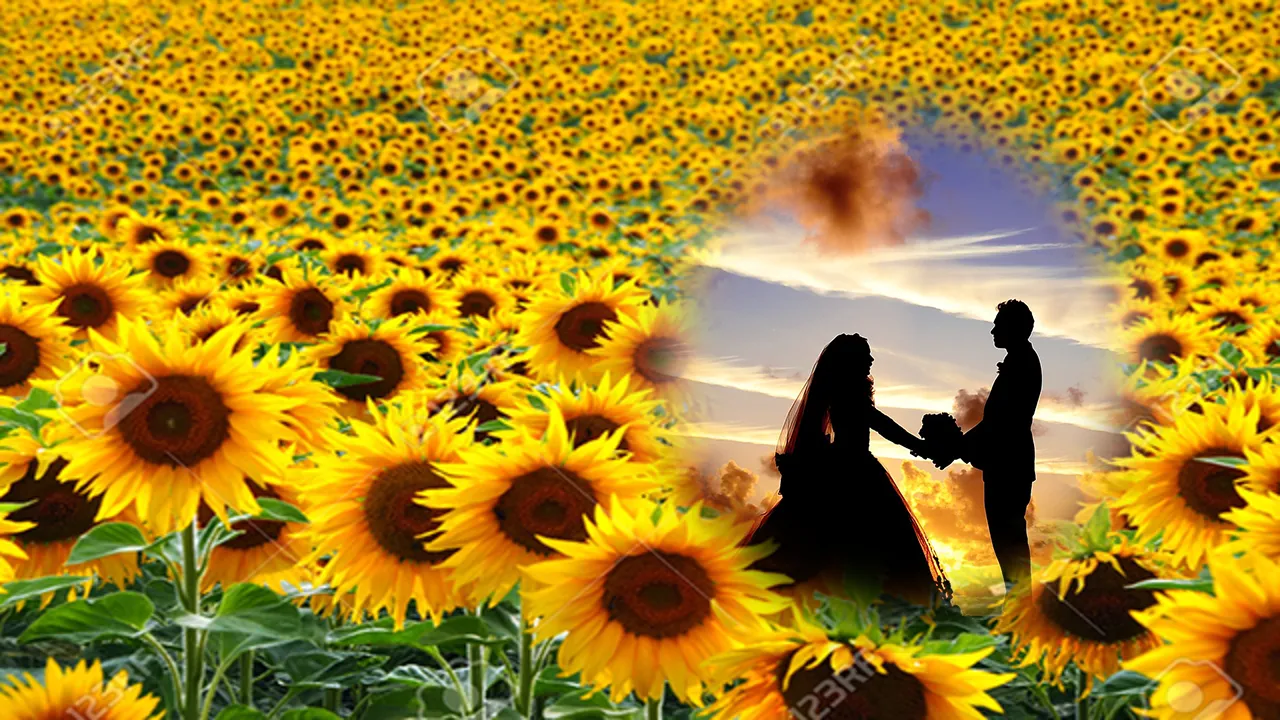 sunflower photo frames editor | Indus Appstore | Screenshot