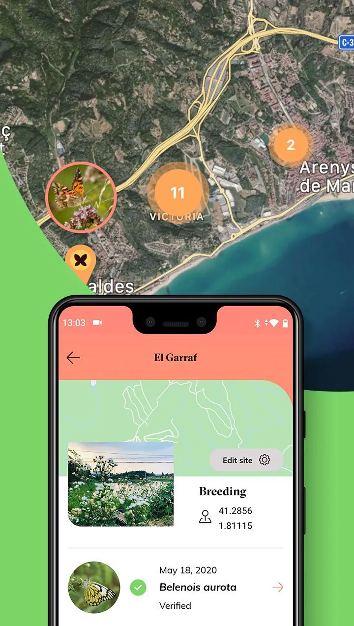 Butterfly Migration | Indus Appstore | Screenshot