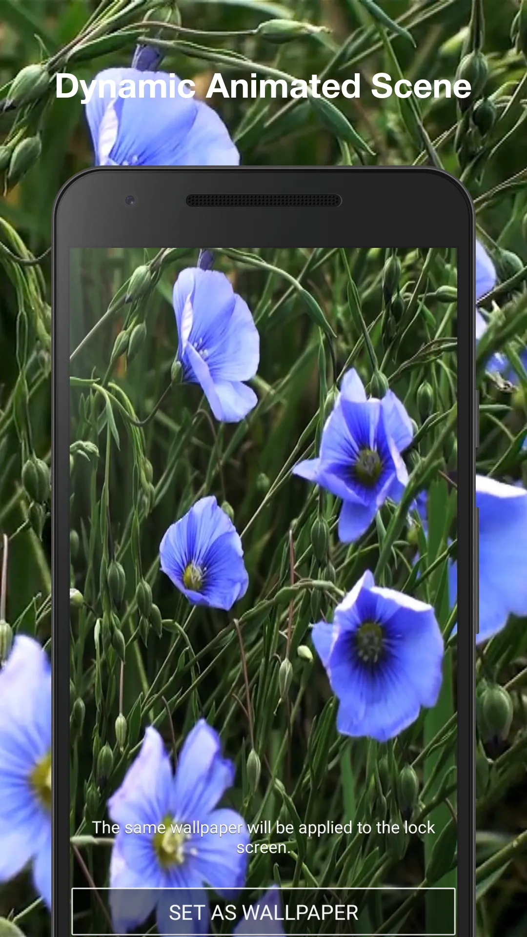 Spring Flowers Live Wallpaper | Indus Appstore | Screenshot