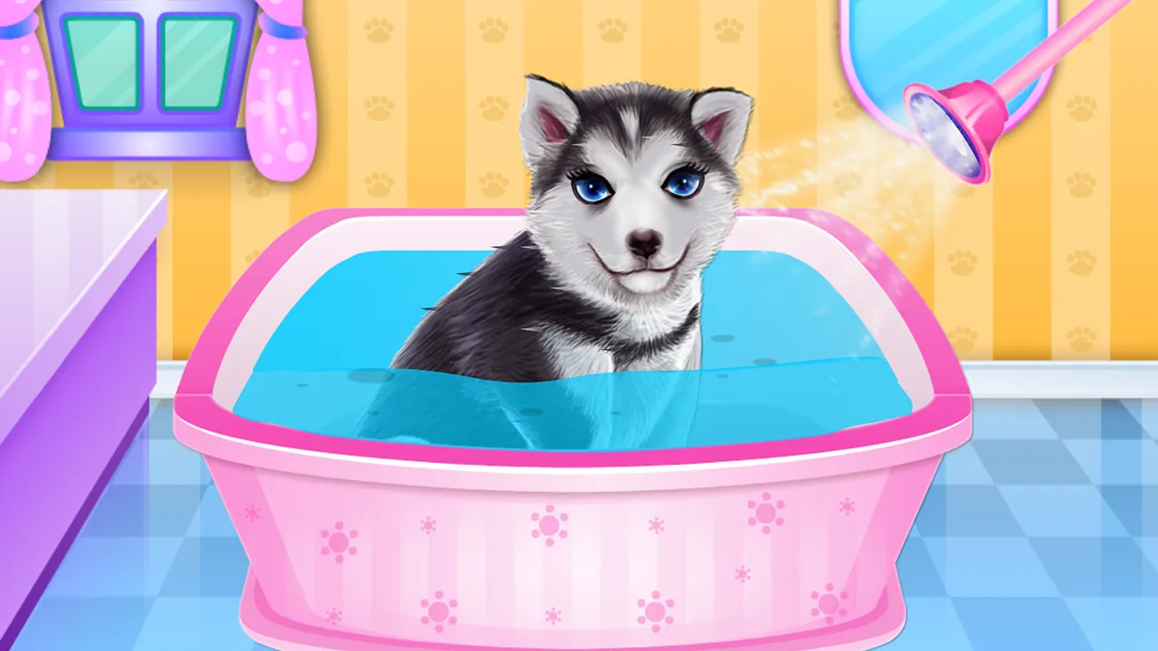 Husky Puppy Spa Salon | Indus Appstore | Screenshot