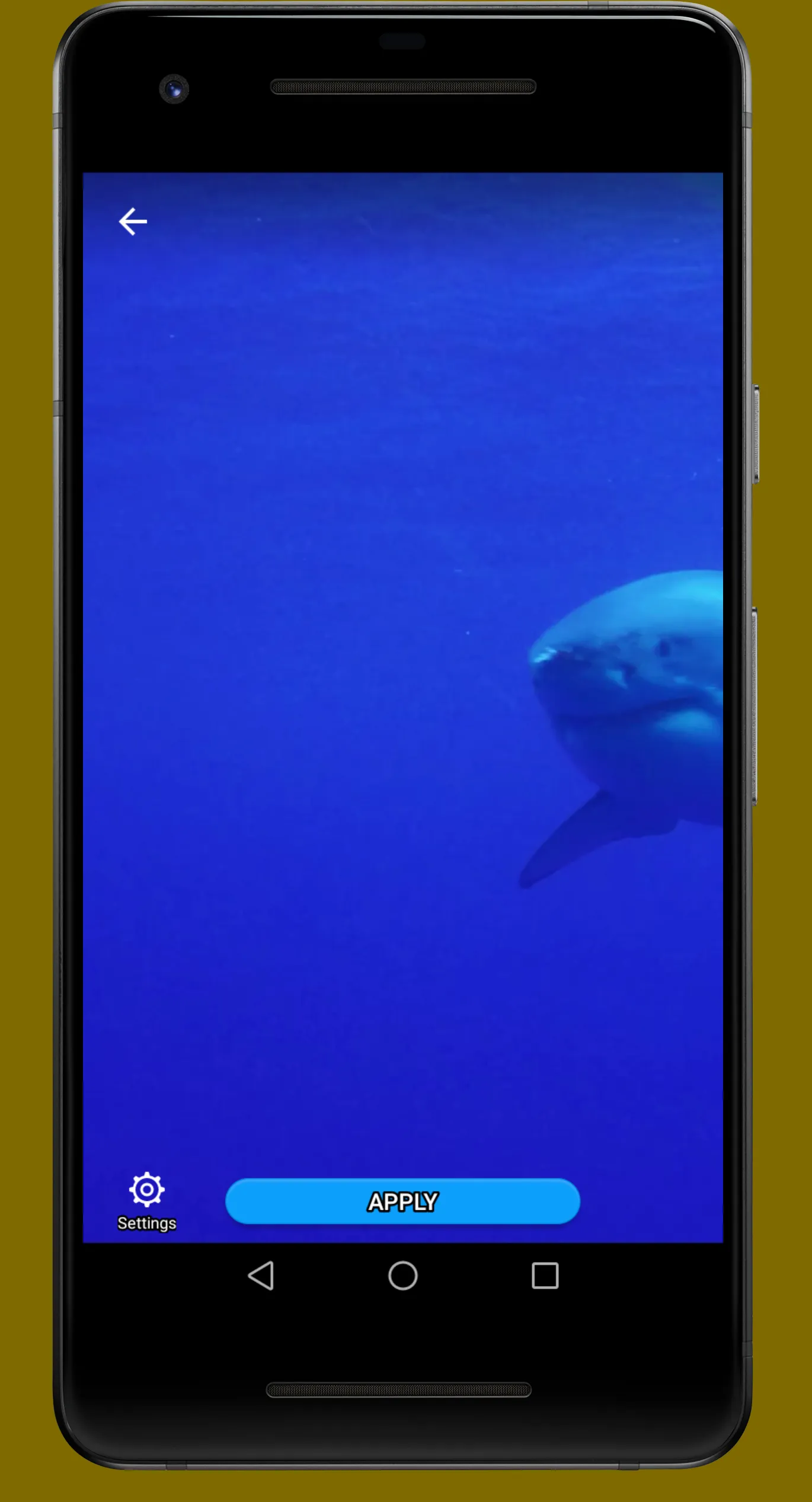 White Shark Video Wallpaper | Indus Appstore | Screenshot