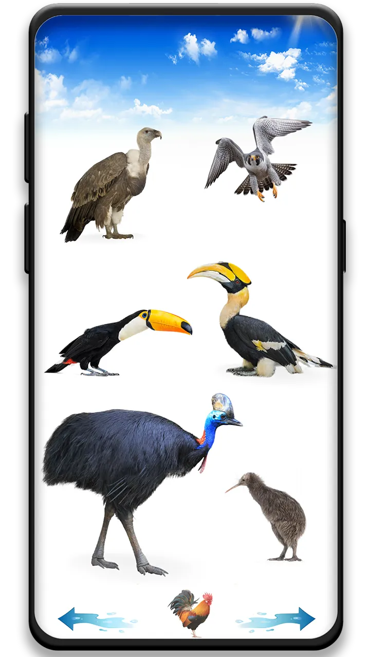 Bird sounds | Indus Appstore | Screenshot