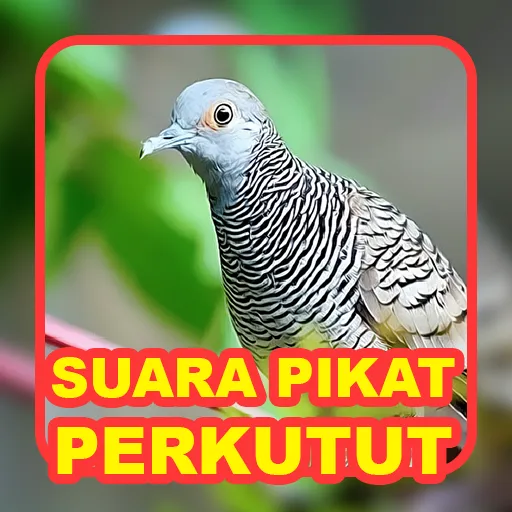 Suara Burung: Kicau Perkutut | Indus Appstore | Screenshot