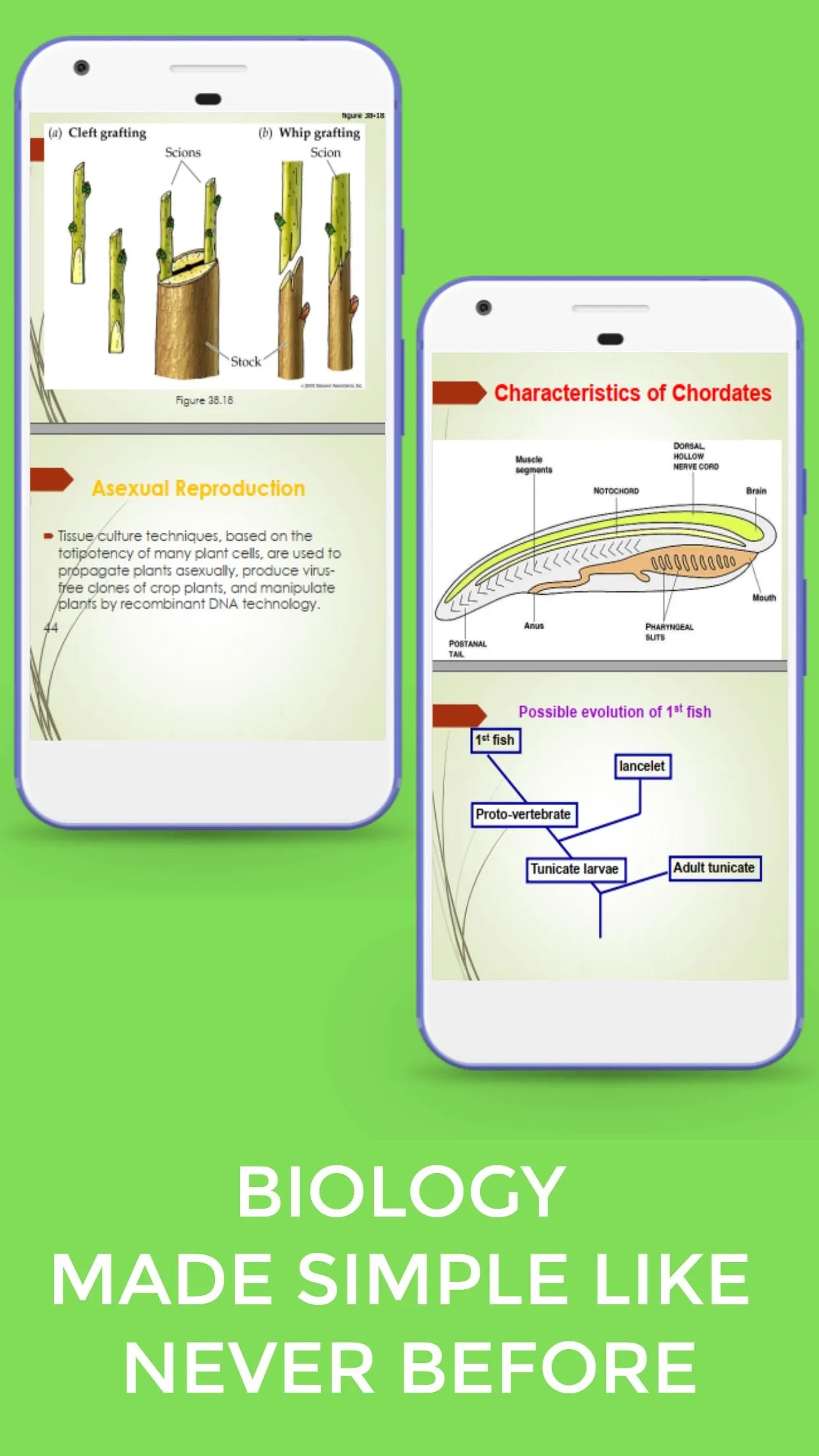 Biology Form 3 Notes +Diagrams | Indus Appstore | Screenshot