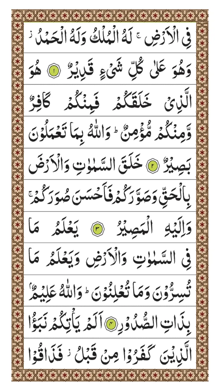 Surah Taghabun | Indus Appstore | Screenshot