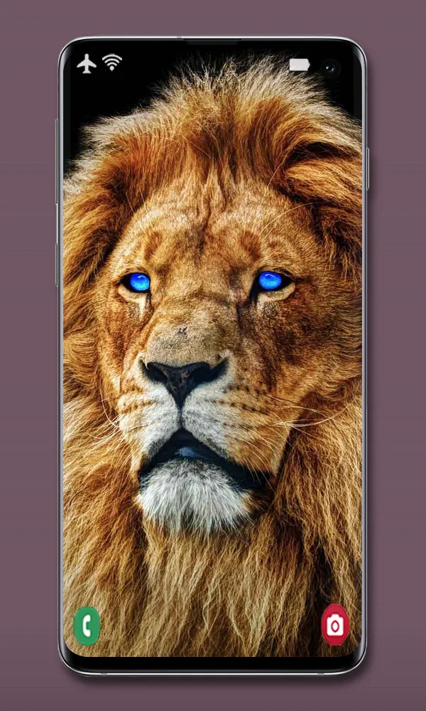 Animal Wallpapers | Indus Appstore | Screenshot