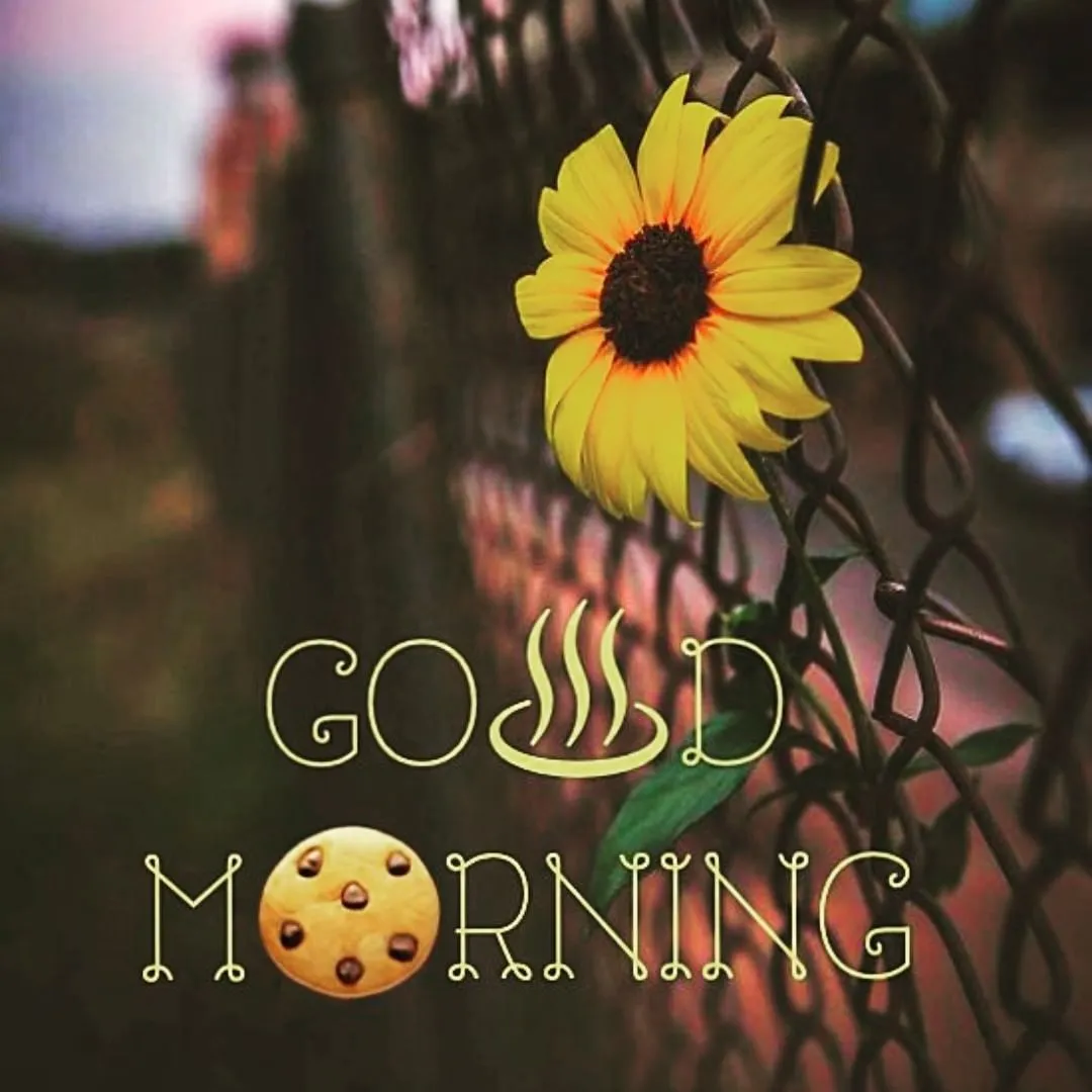 Good Morning Flower Wishes | Indus Appstore | Screenshot