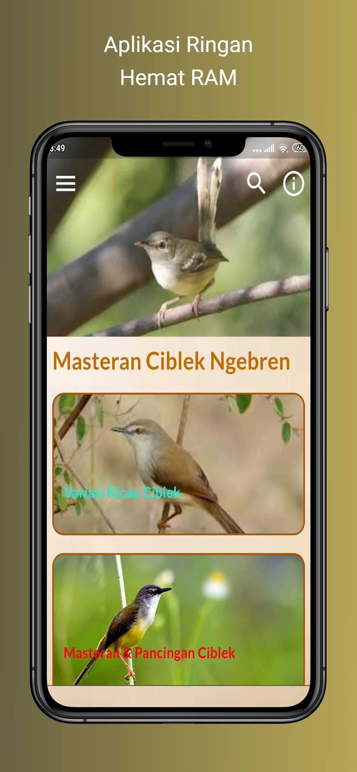 Masteran Ciblek Ngebren | Indus Appstore | Screenshot