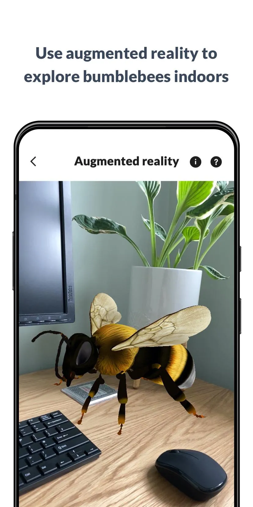 What’s that bumblebee | Indus Appstore | Screenshot