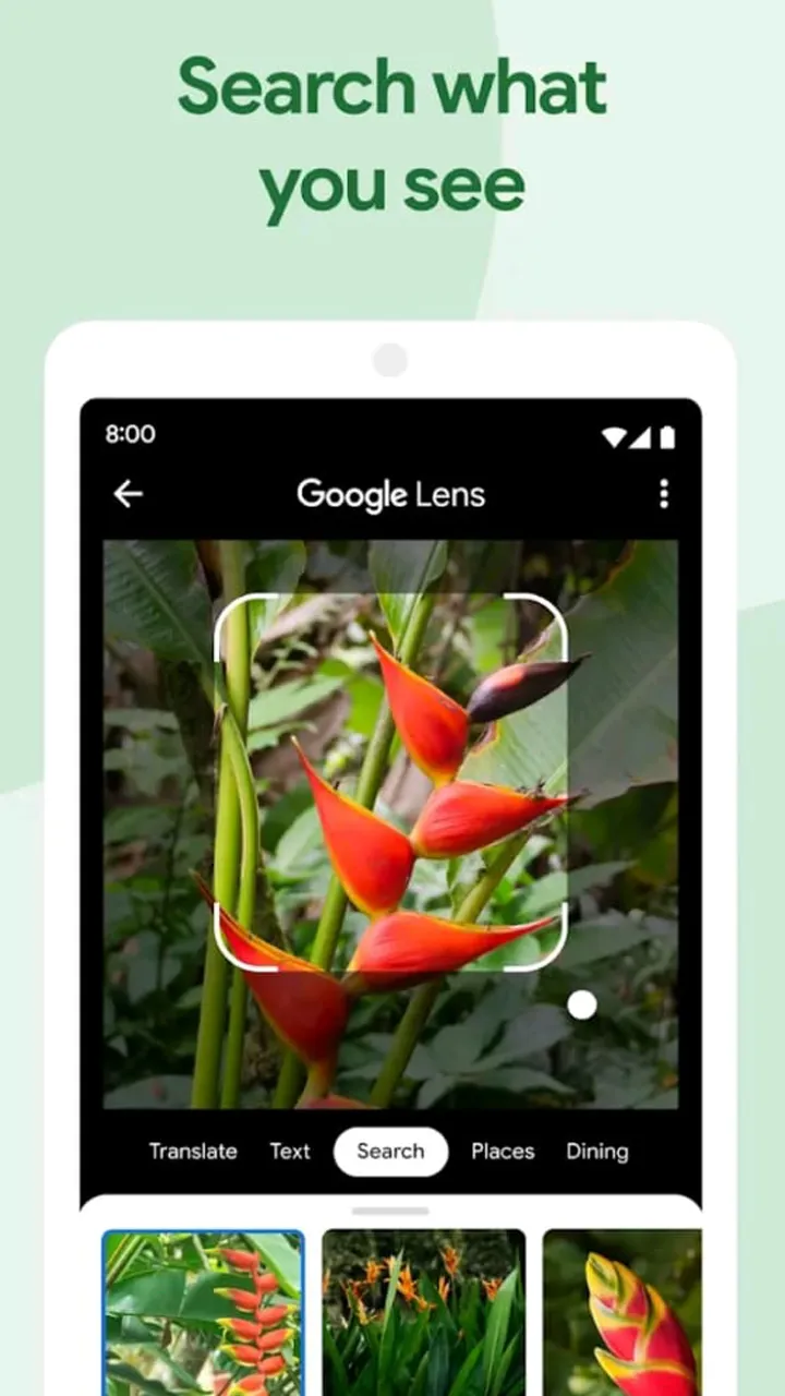 AI Photo Gallery | Indus Appstore | Screenshot