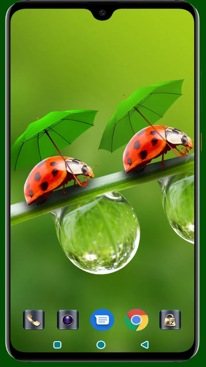 Lady Bug Wallpaper | Indus Appstore | Screenshot