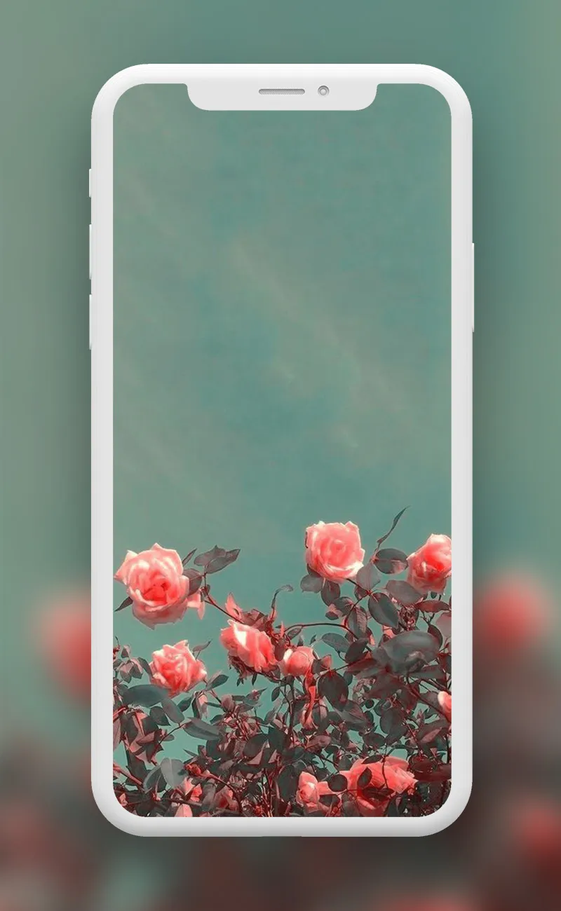 Flowers Wallpapers | Indus Appstore | Screenshot