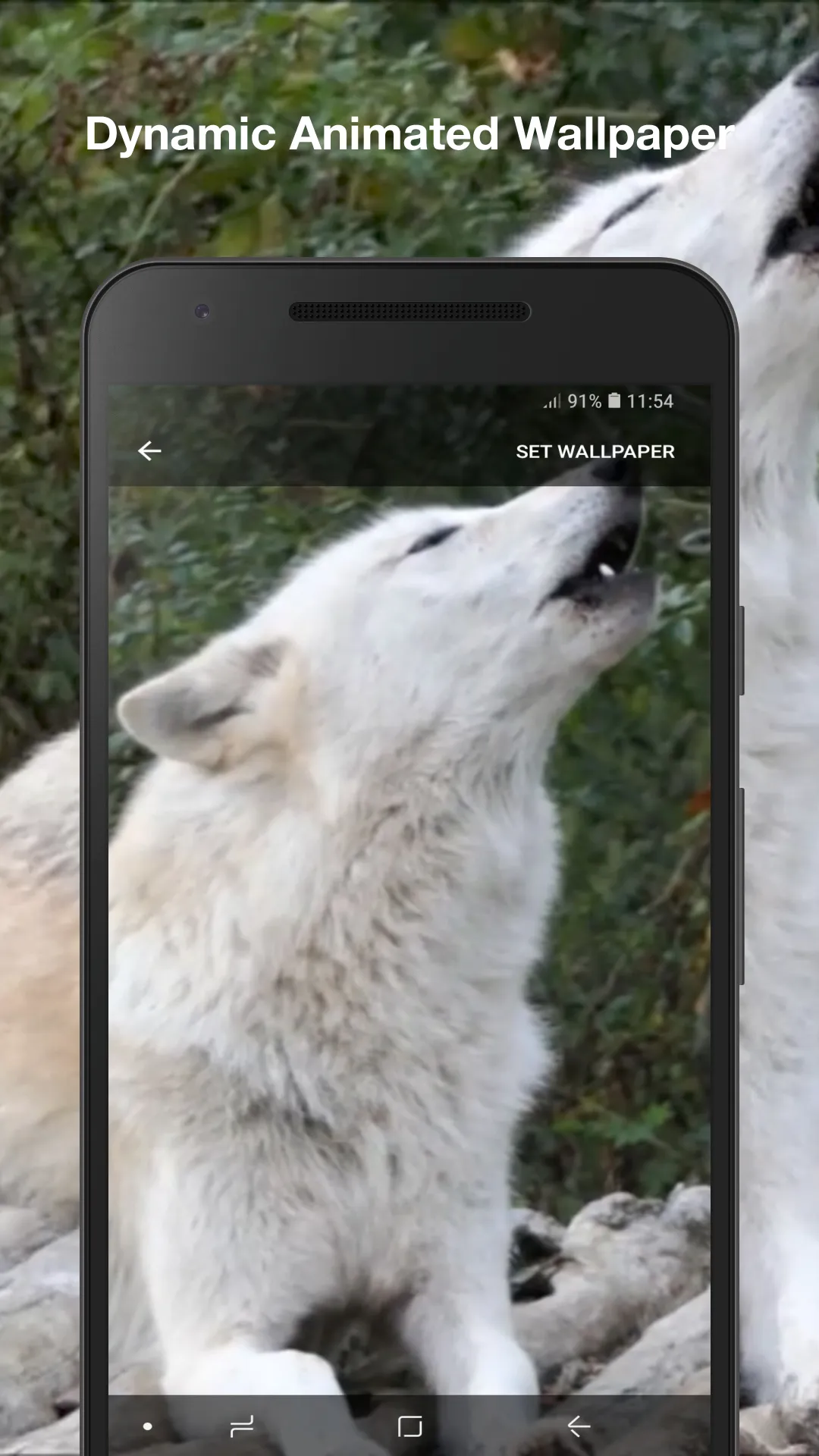 Wolf Live Wallpaper | Indus Appstore | Screenshot