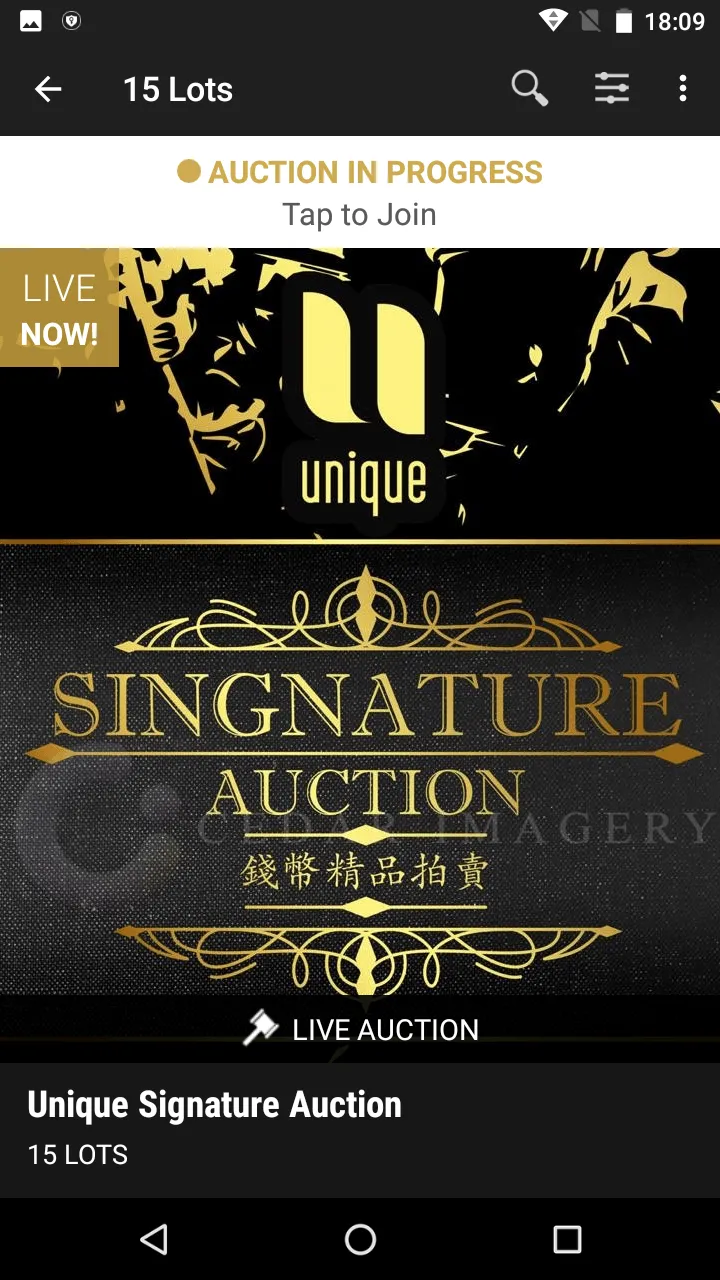 Unique Auctions | Indus Appstore | Screenshot