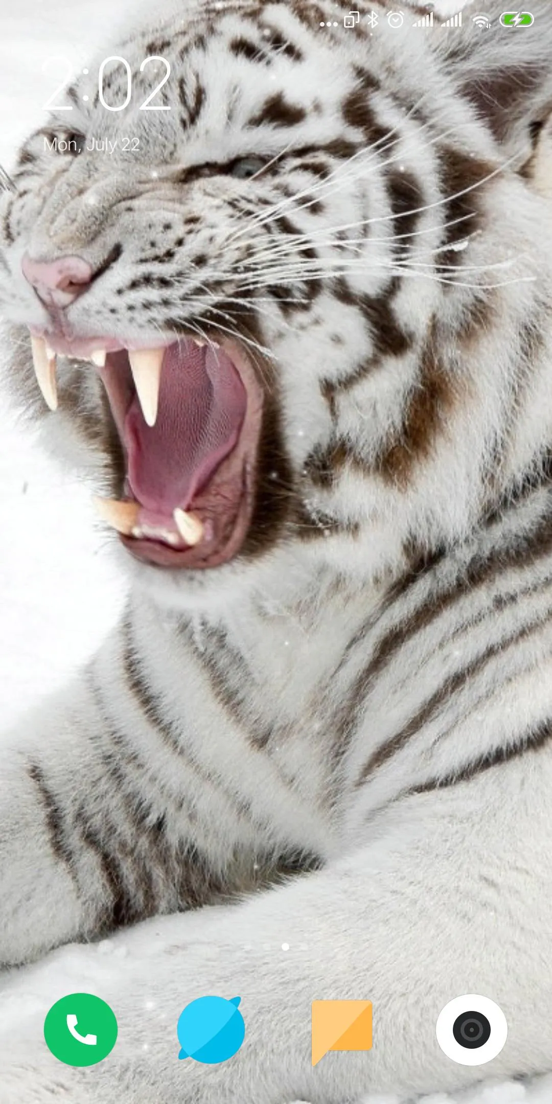 Tiger Live Wallpaper | Indus Appstore | Screenshot