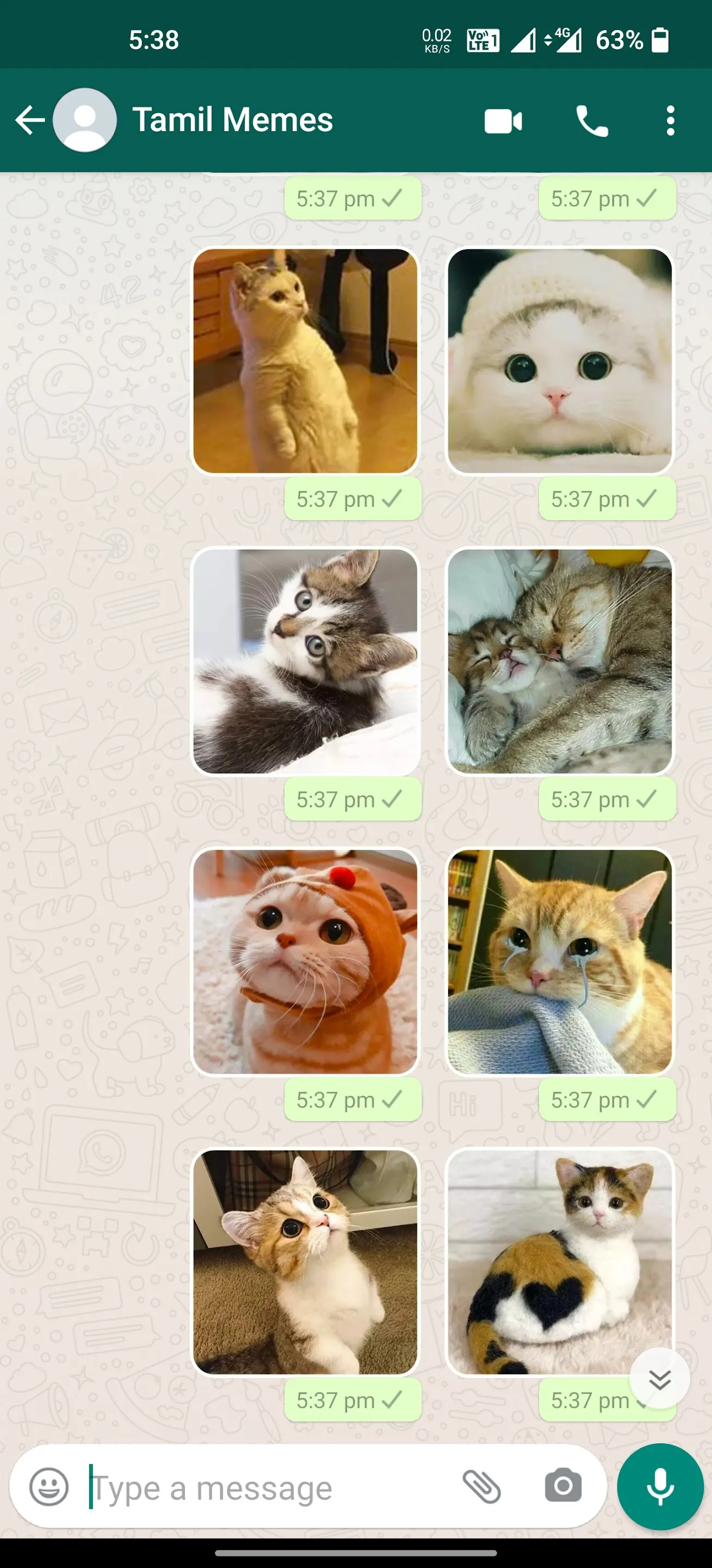 Cat Stickers | WAStickerApps | Indus Appstore | Screenshot