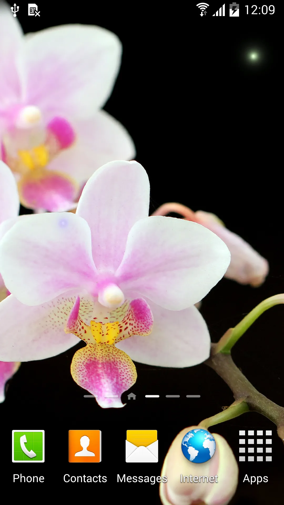 Orchids Wallpaper | Indus Appstore | Screenshot