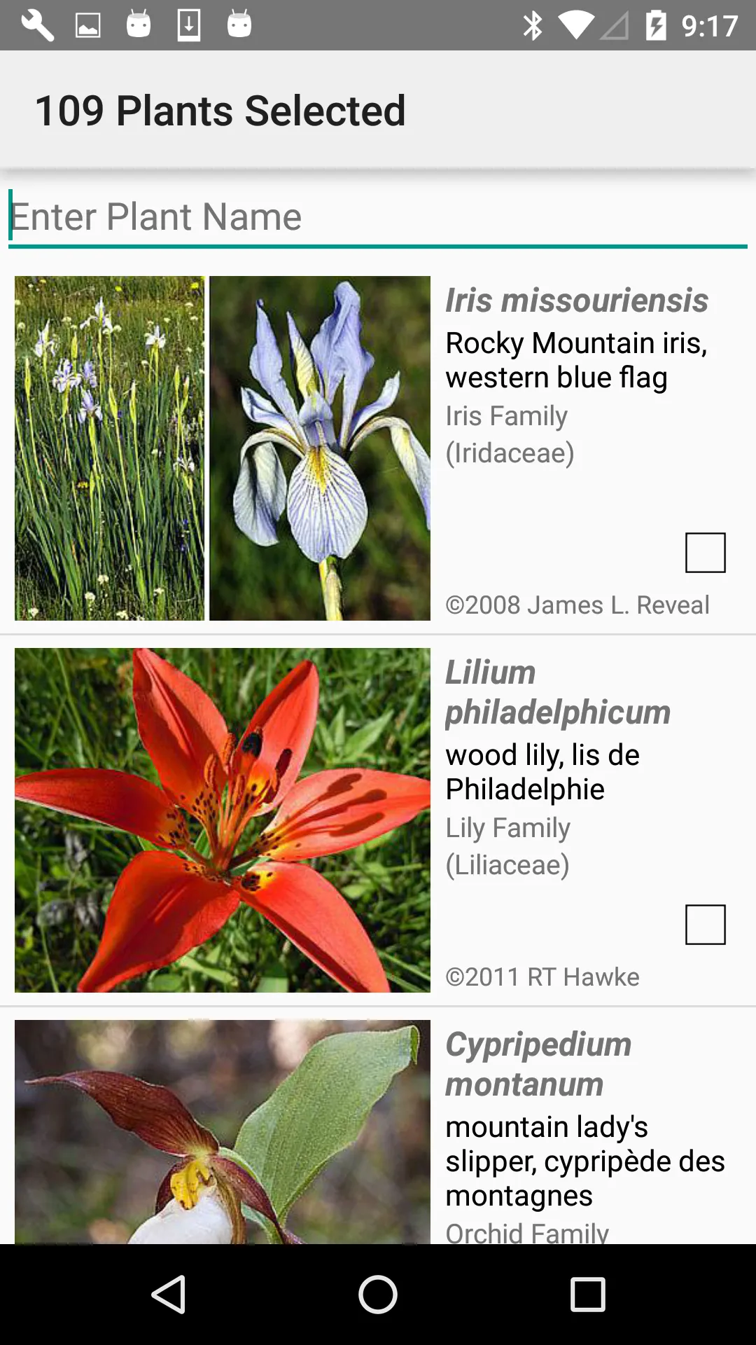 Alberta Wildflowers | Indus Appstore | Screenshot