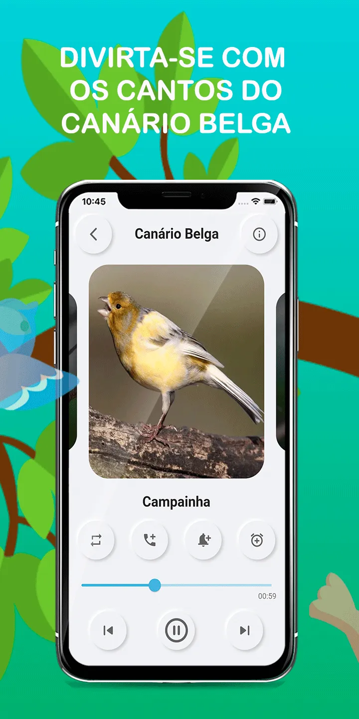 Canary Bird Belgian Corners | Indus Appstore | Screenshot