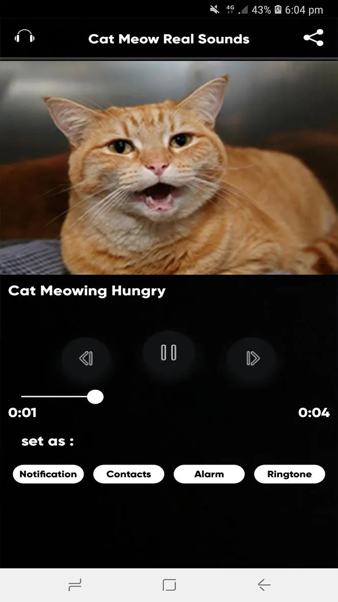 Cat Meow Real Sounds | Indus Appstore | Screenshot