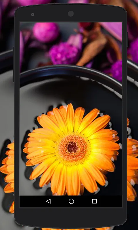 Flower Wallpapers | Indus Appstore | Screenshot