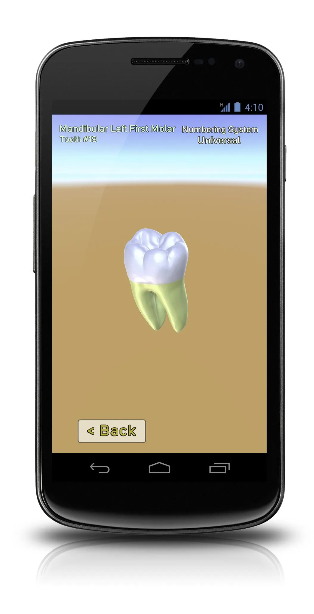 3D Tooth Anatomy | Indus Appstore | Screenshot