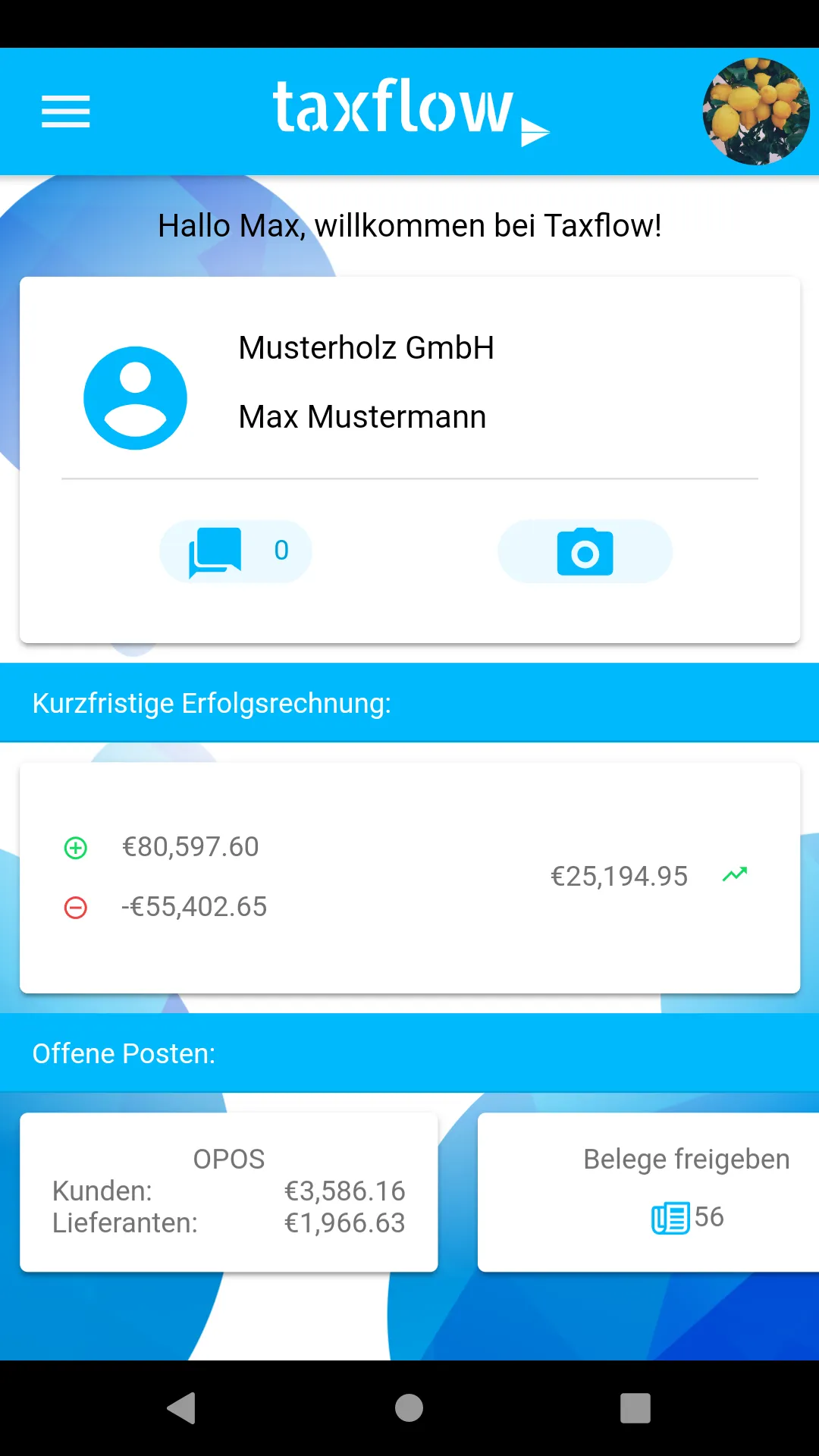 Taxflow Austria | Indus Appstore | Screenshot