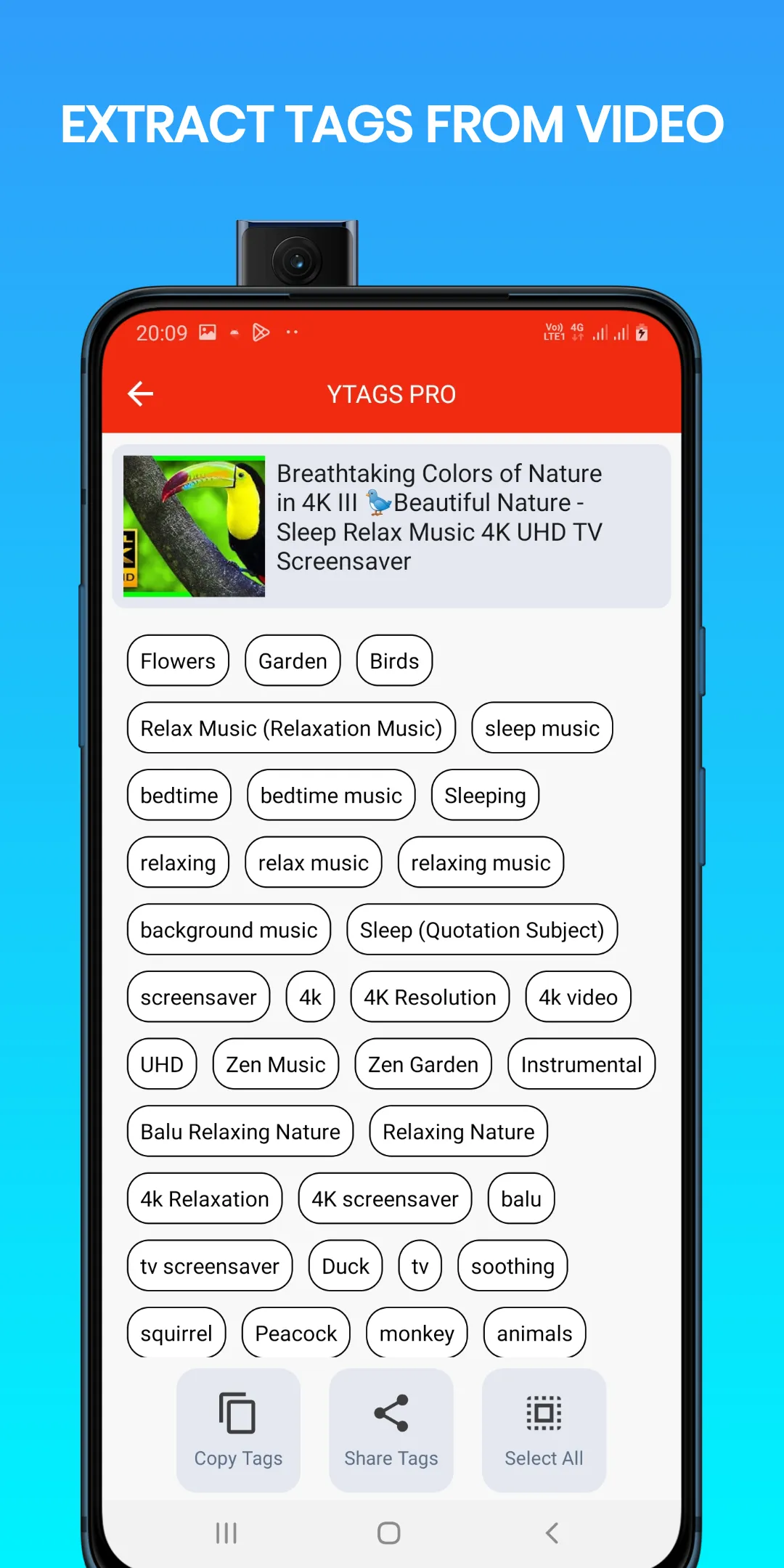 YouTag - SEO Video Tools | Indus Appstore | Screenshot