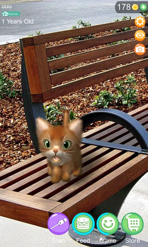 AR Cat | Indus Appstore | Screenshot