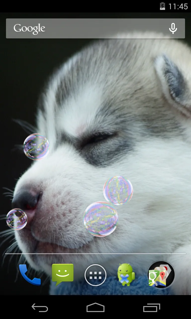 Husky puppies Live Wallpaper | Indus Appstore | Screenshot