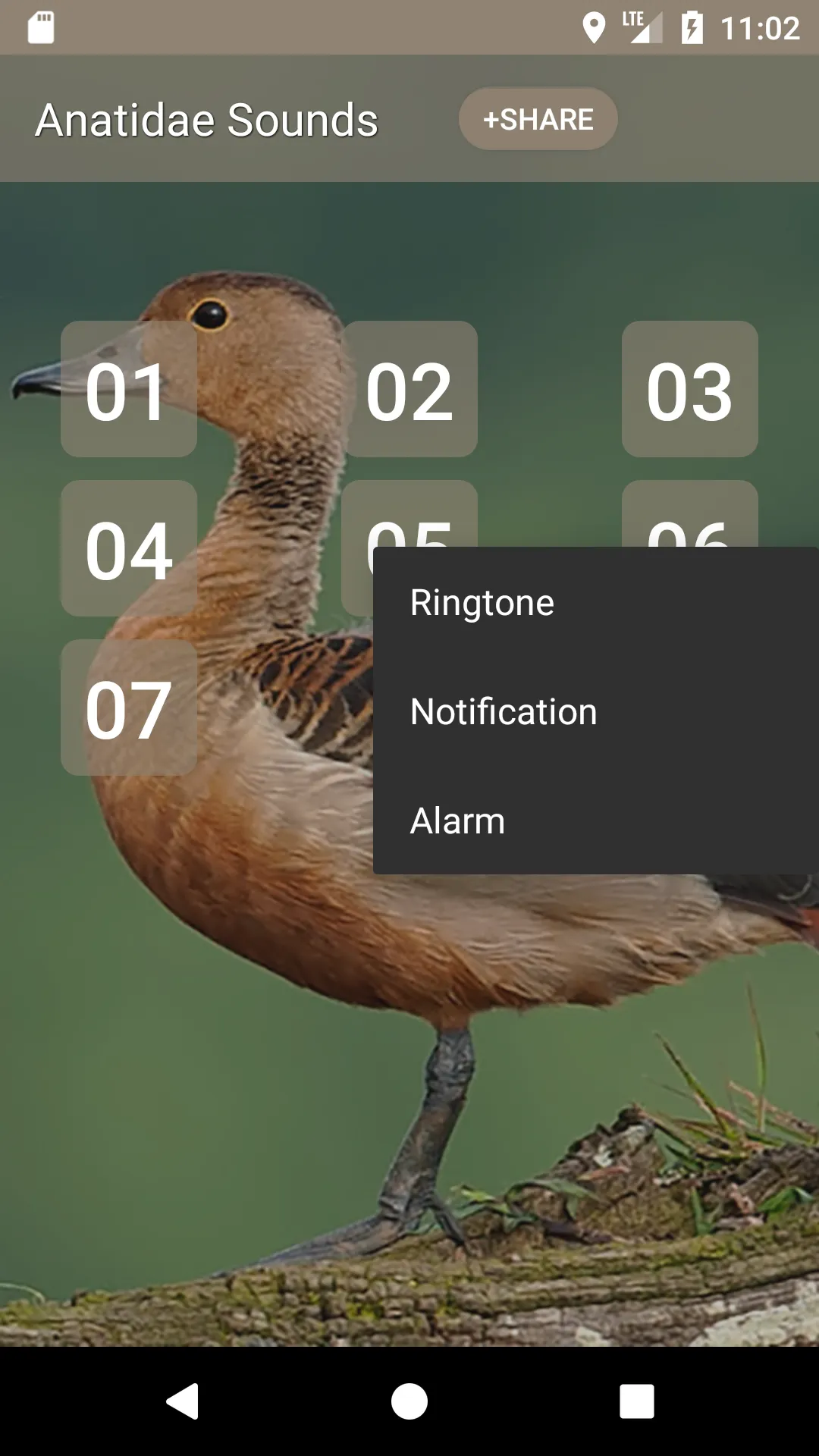 Anatidae Sound | Indus Appstore | Screenshot