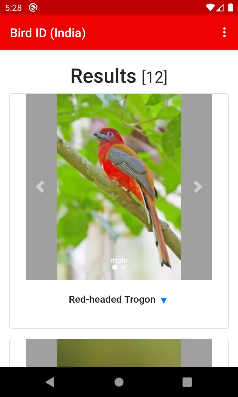 Bird ID (India) | Indus Appstore | Screenshot