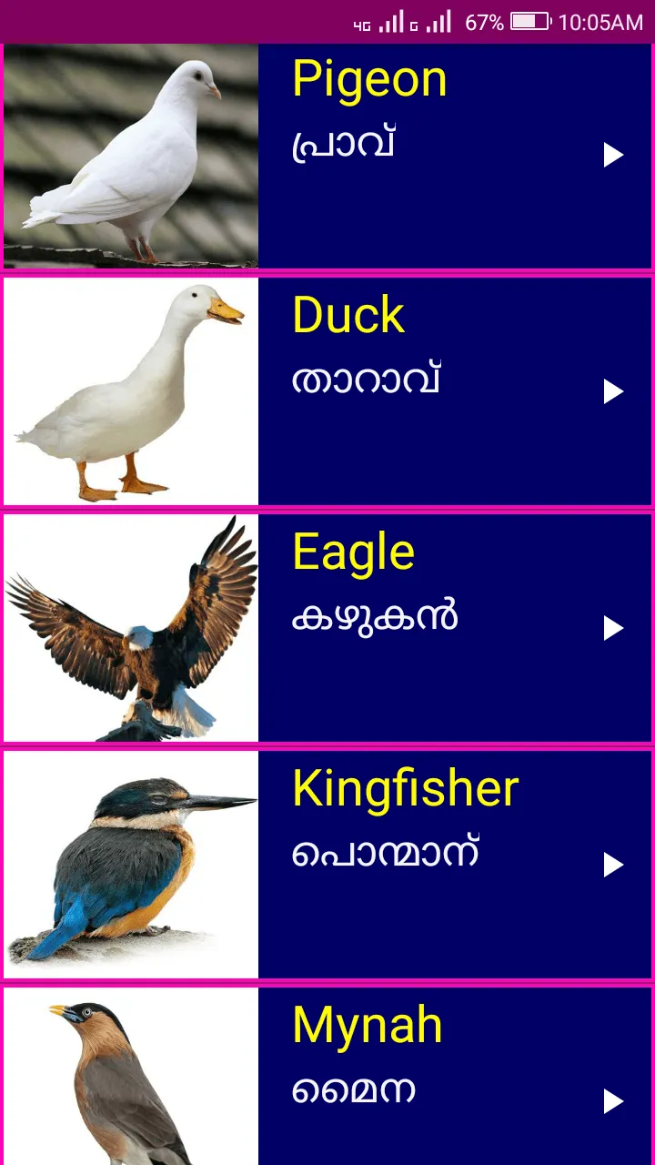 Learn English from Malayalam | Indus Appstore | Screenshot