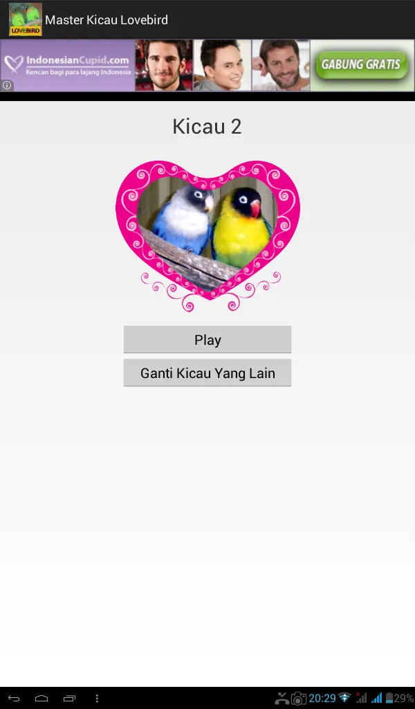 Master Kicau Lovebird | Indus Appstore | Screenshot