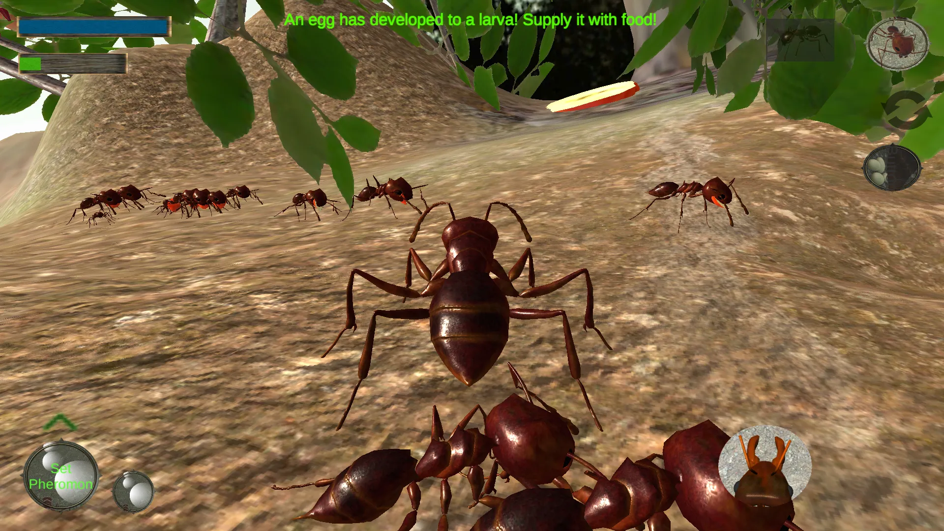 Ant Simulation 3D - Insect Sur | Indus Appstore | Screenshot