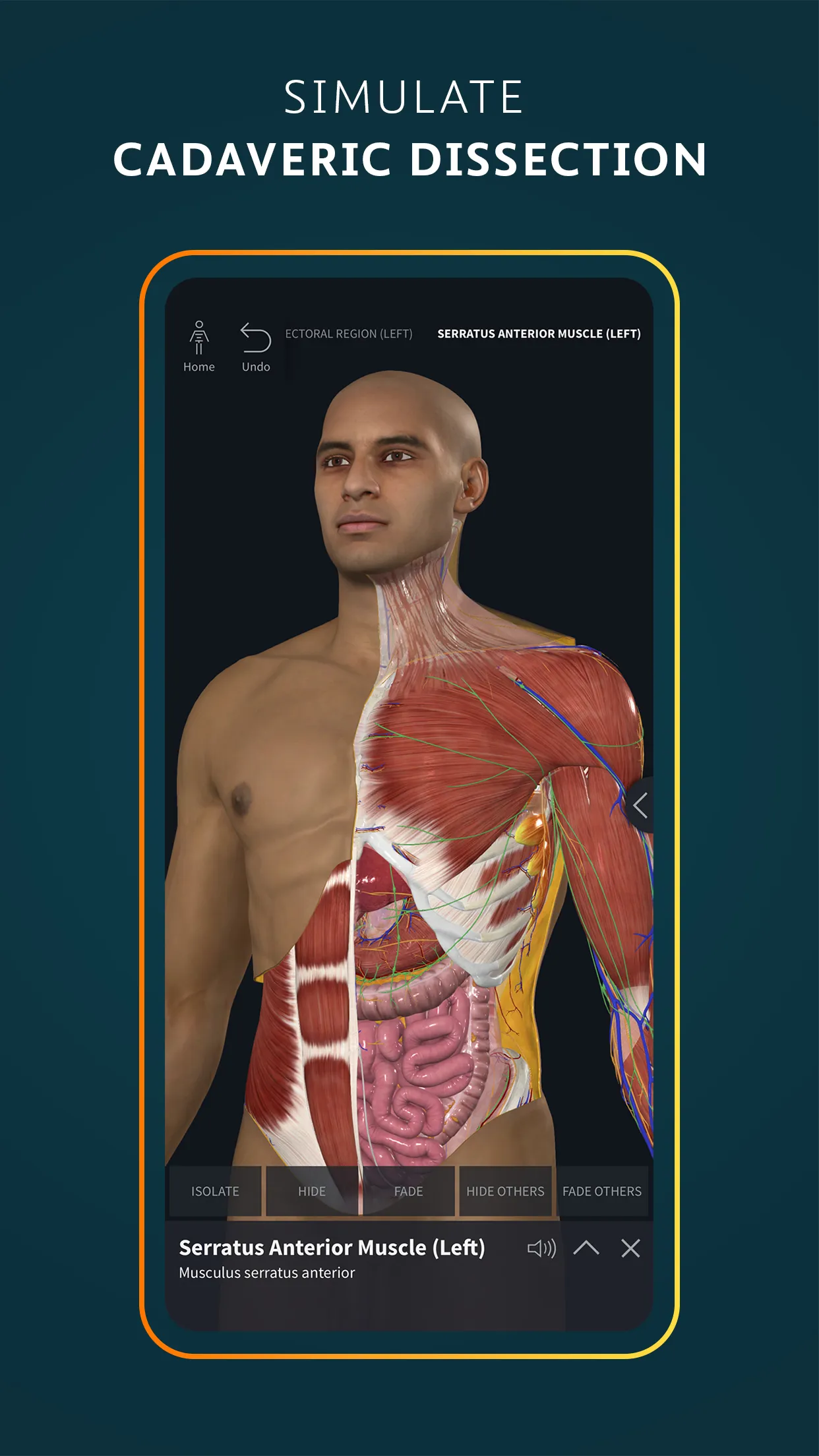 Complete Anatomy 2024 | Indus Appstore | Screenshot