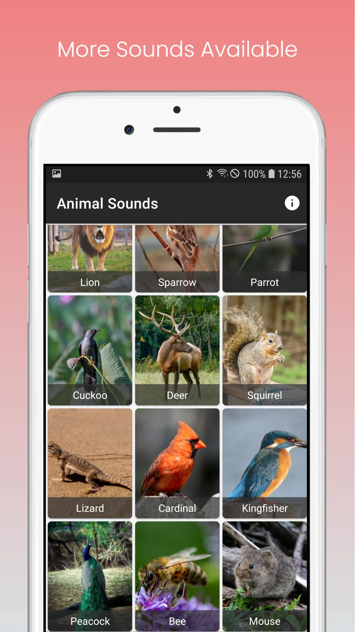 Animal Sounds App - With Birds | Indus Appstore | Screenshot