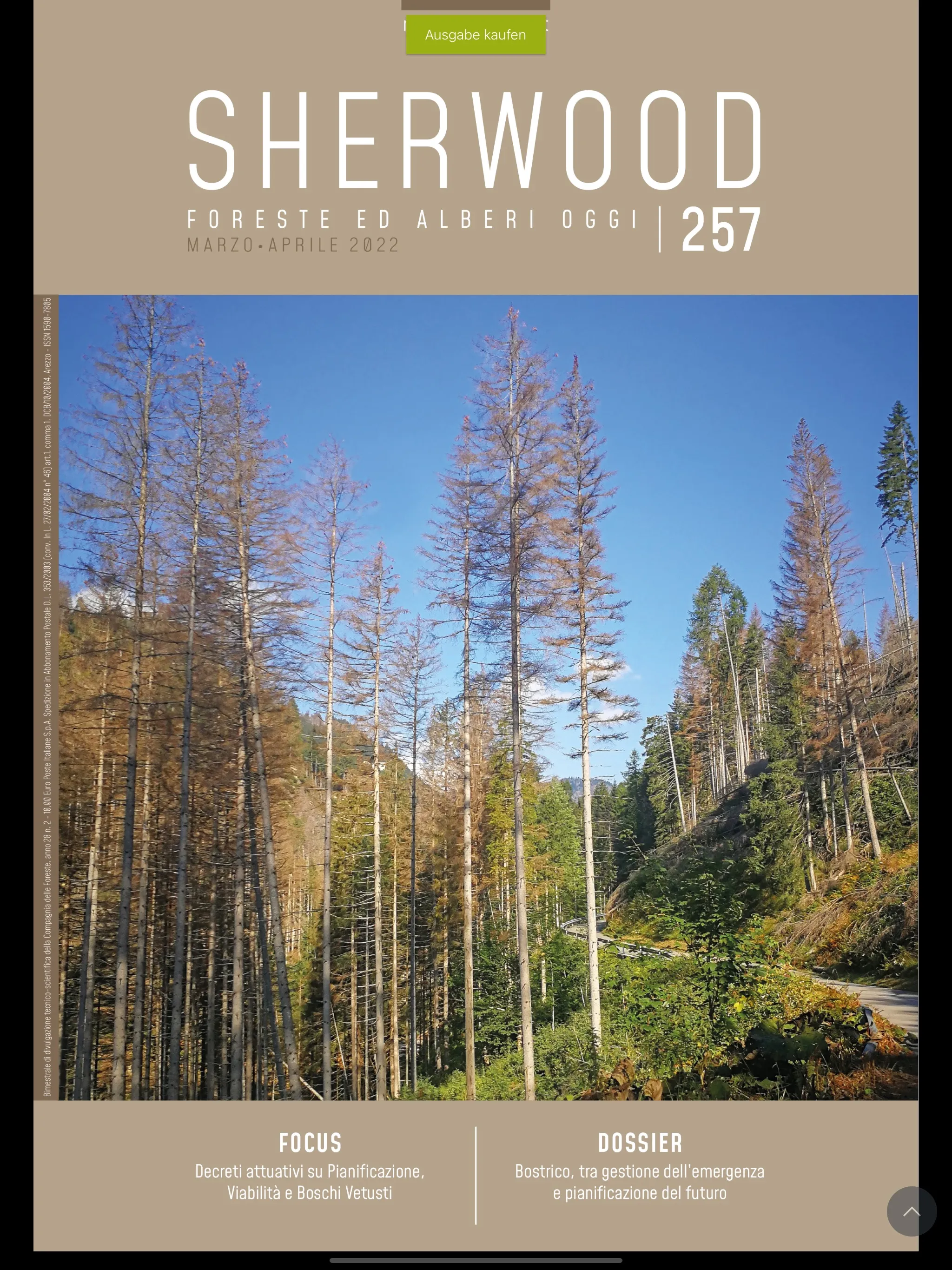 Sherwood-Foreste e Alberi Oggi | Indus Appstore | Screenshot