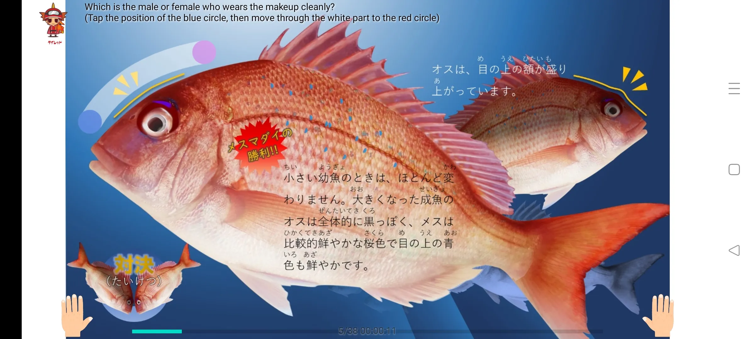 Fillet the red sea bream | Indus Appstore | Screenshot