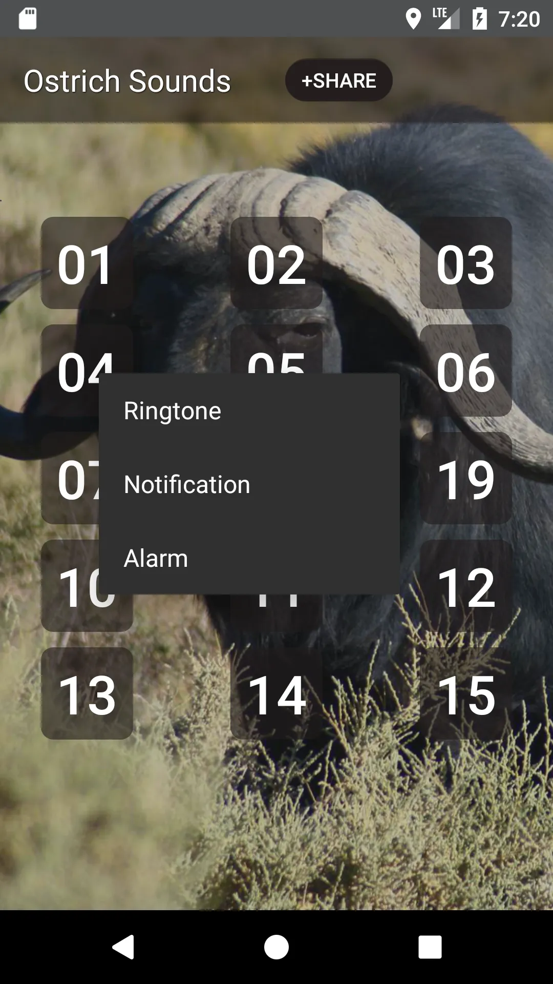 Buffalo & Bison Sounds | Indus Appstore | Screenshot