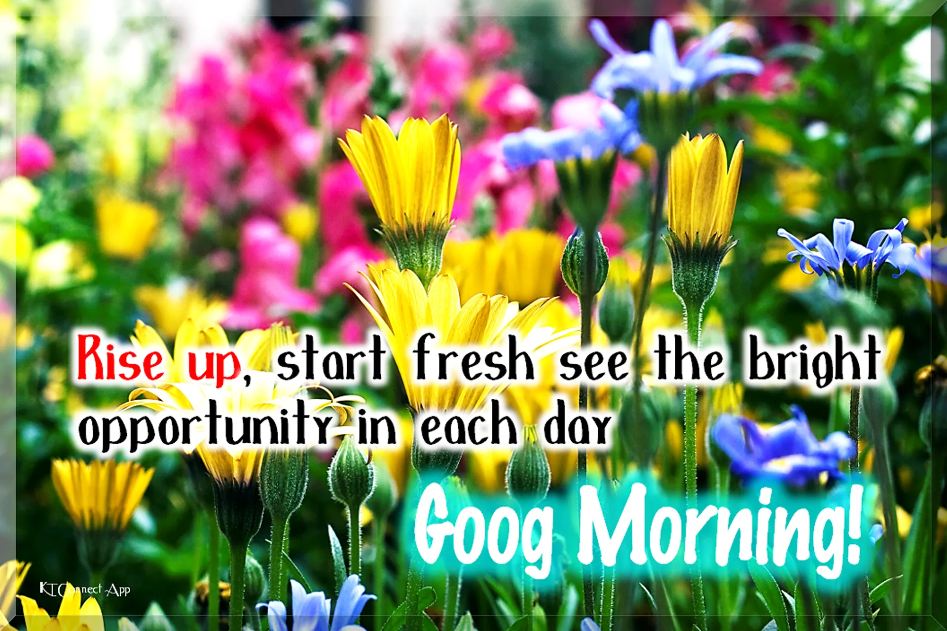 Good Morning Everyday | Indus Appstore | Screenshot