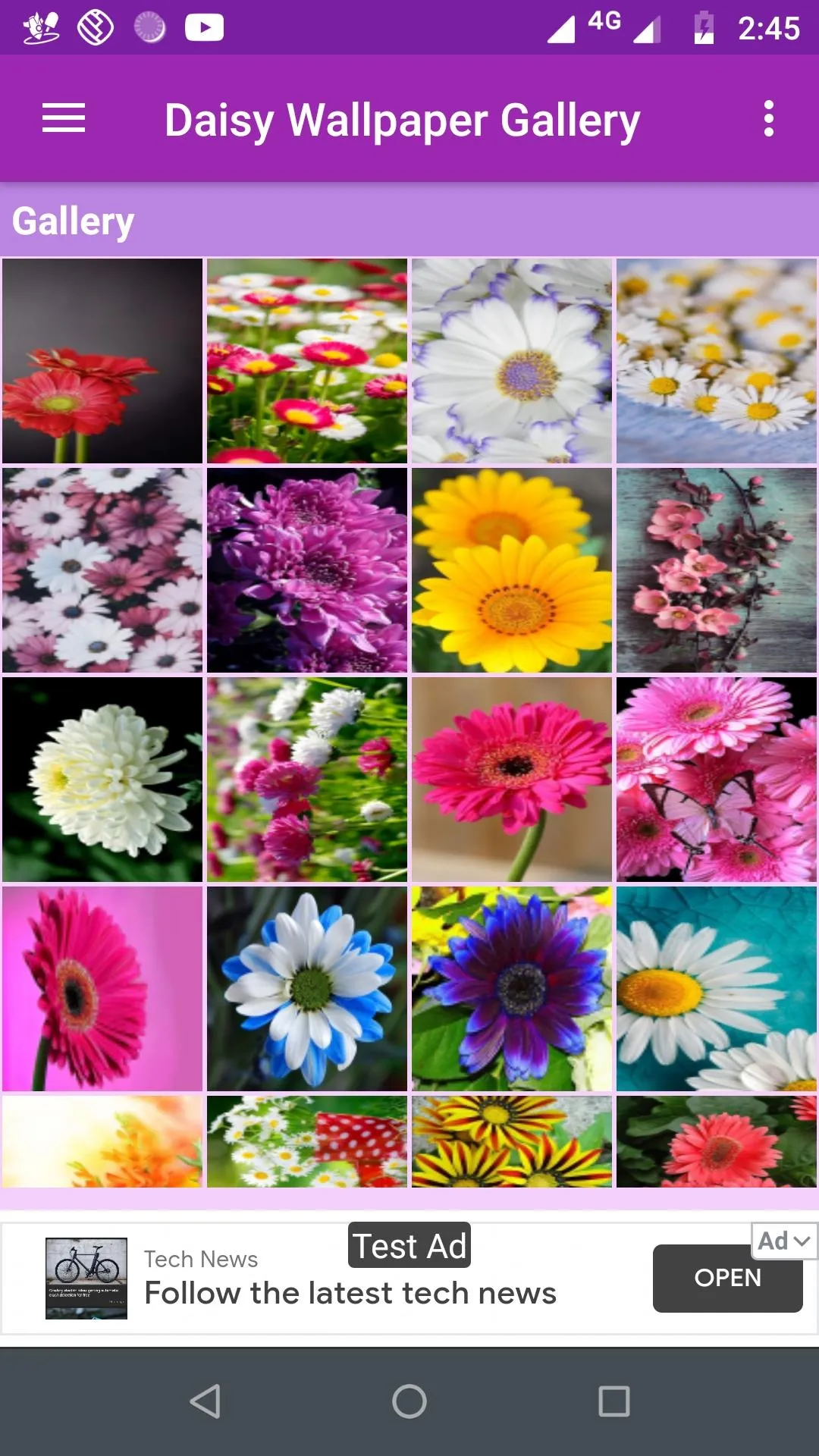 Daisy Wallpaper Gallery | Indus Appstore | Screenshot